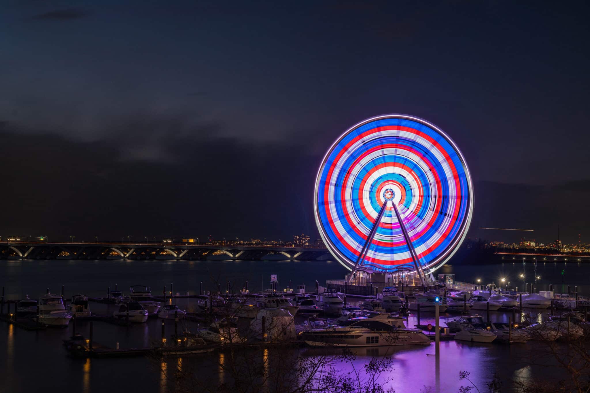 Freedom at the Harbor